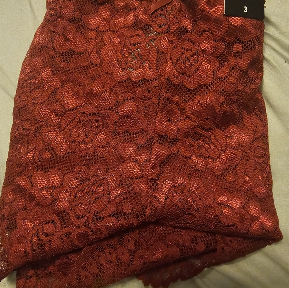 Simply Lace Mid-Rise Cheeky Panty From Torrid - Picture 4 of 8